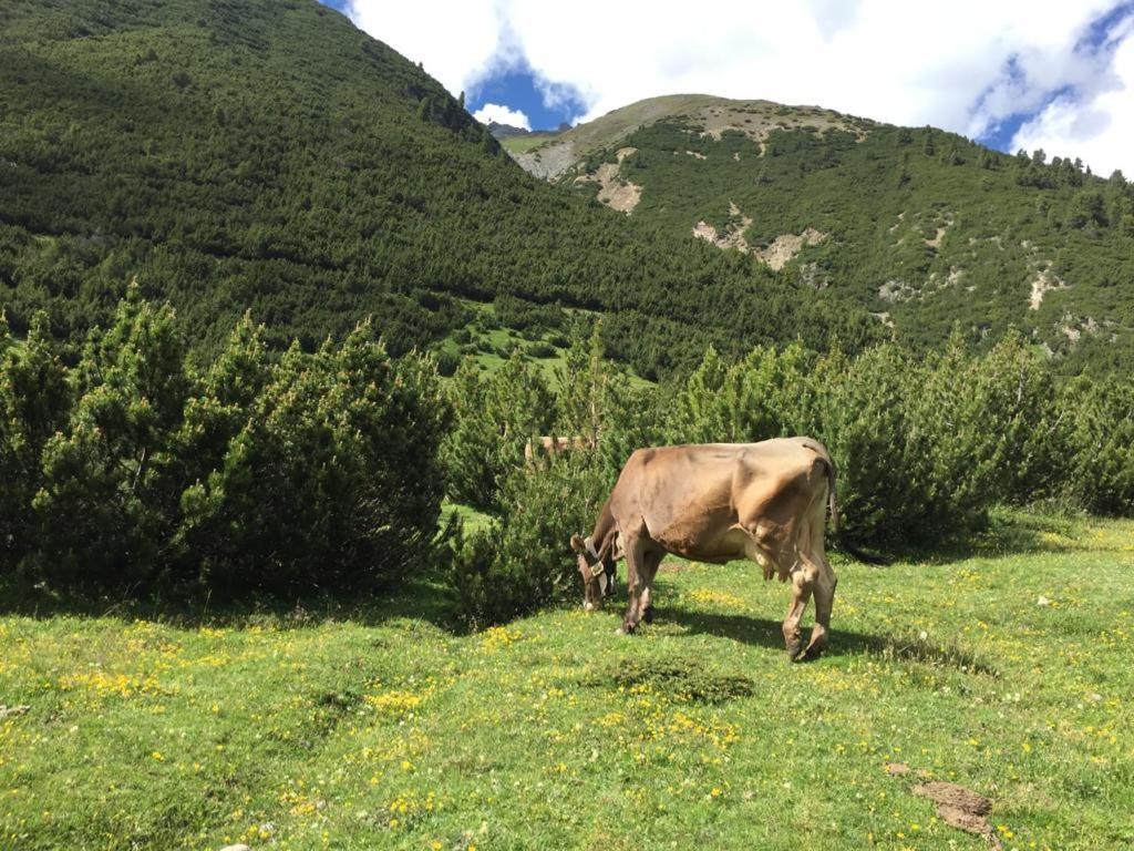Appartamento Paola Livigno Buitenkant foto